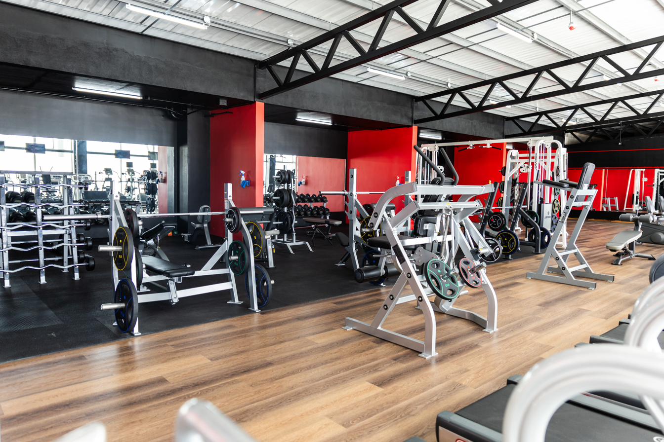 Equipo de peso libre Sport Gym