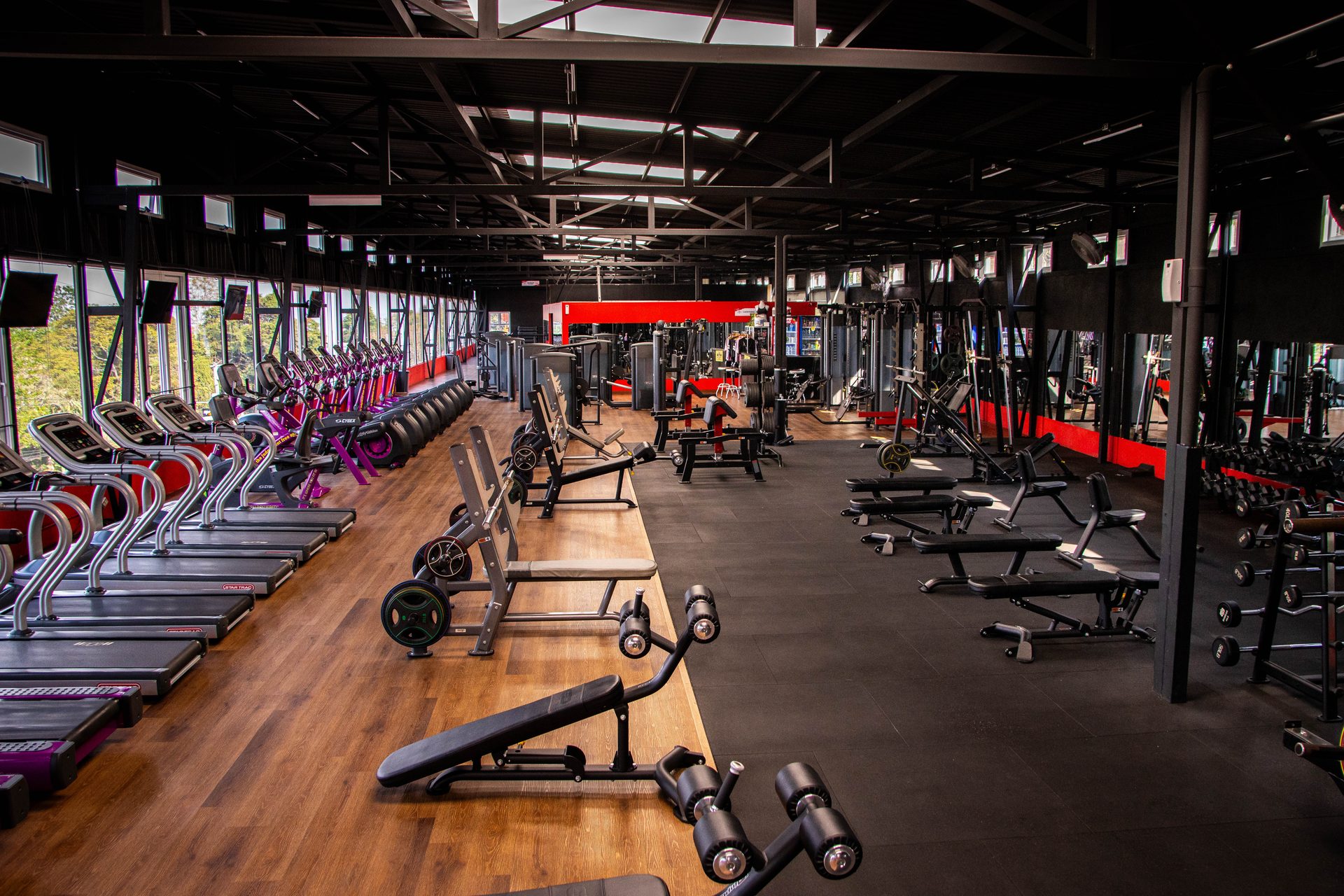 Área cardiovascular y peso libre
